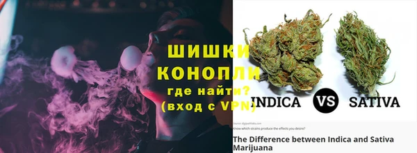прущие грибы Фурманов