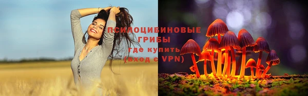 прущие грибы Фурманов