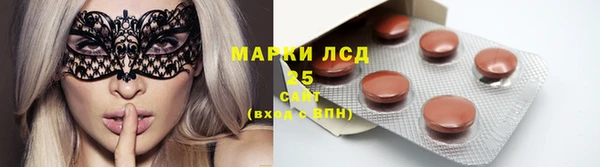 прущие грибы Фурманов
