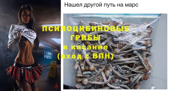 прущие грибы Фурманов