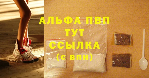 прущие грибы Фурманов